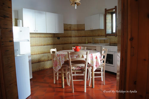 Selma kitchen apartment
